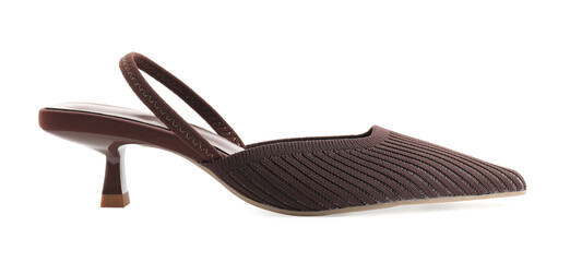 One stylish women's shoe isolated on white