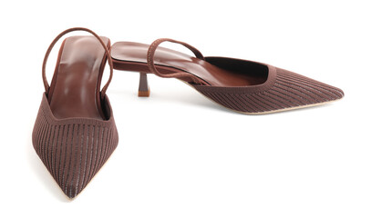 Pair of stylish women's shoes isolated on white