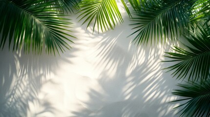 Obraz premium Tropical Palm Leaves Casting Shadows on a Textured White Wall creating a calming and inviting botanical aesthetic