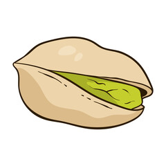 Pistachio nut, vector hand-drawn illustration
