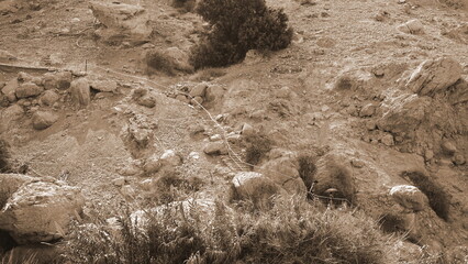 Landscape Rocky Terrain Detailed Sepia Toned Natural Earthy Environment Scene