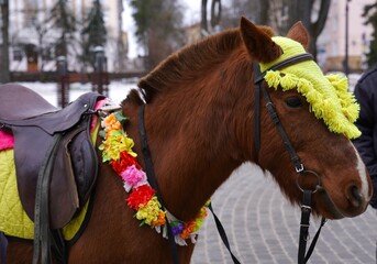 Portrait of a dun red horse with a yellow cap on its head in the park in winter during the winter...