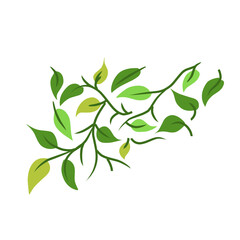 Green leaf branch decoration element