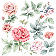 Roses Ephemera Clipart, Roses Fussy Cut, Printable Watercolor clipart, Watercolor Floral clipart