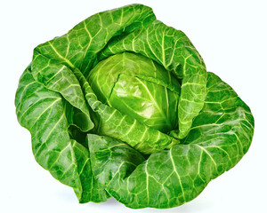 Kapusta zielona na białym tle, idealna do sałatek i zup © Jolaya