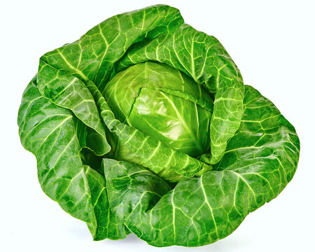 Kapusta zielona na białym tle, idealna do sałatek i zup