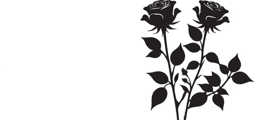 Rose Flower black and white vector 
