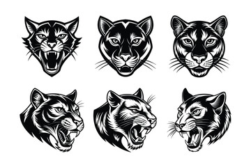 mountain lion silhouette vector and line art illustration