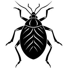 Bedbug silhouette vector illustration
