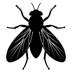 Botfly silhouette vector illustration 