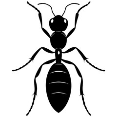 Carpenter Ant silhouette vector illustration 