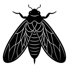 Cicada silhouette vector illustration
