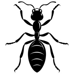 Fire Ant beetle silhouette vector illustration