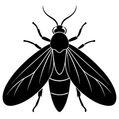 Firefly silhouette vector illustration 