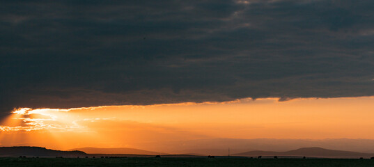 sunset in the city