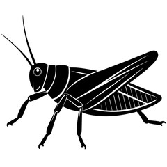 Grasshopper silhouette vector illustration