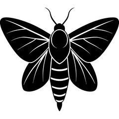 Hawk moth silhouette vector illustration 