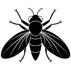 Hoverfly silhouette vector illustration 