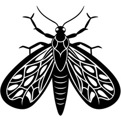 Lacewing silhouette vector illustration