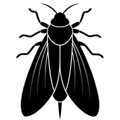 Leafhopper silhouette vector illustration 