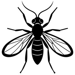 Sand fly silhouette vector illustration