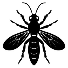 illustration of a wasp