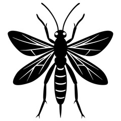 Scorpion fly silhouette vector illustration