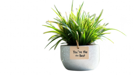 Vibrant Employee Appreciation-themed desk plant with tag "You're the Best" for Employee Appreciation Day, isolated on white, PNG file, transparent background.