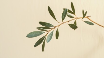 Obraz premium Elegant sprig of green leaves on a soft beige background
