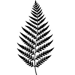 fern leaves silhouettes vector illustration transparent background