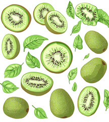 Fototapeta premium set of kiwi fruit