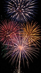 Colorful fireworks bursting in the night sky.
