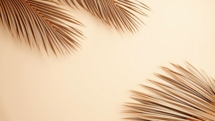 Elegant Dried Palm Fronds on a Neutral Background, Perfect for Minimalist Designs and Summer-Themed Projects