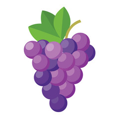 bunch of grapes isolated on white background