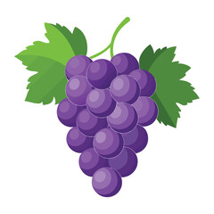 bunch of grapes isolated on white background