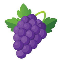 bunch of grapes