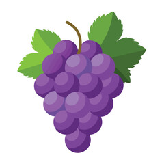 bunch of grapes isolated on white