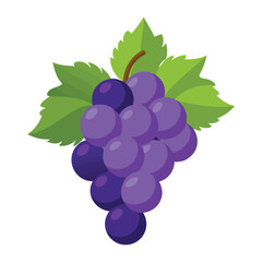 bunch of grapes isolated on white background