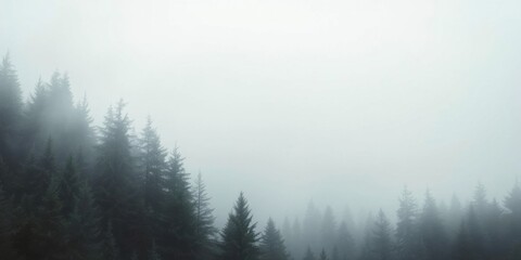 Naklejka premium Serene Fog Enveloping a Coniferous Forest on a Misty Morning