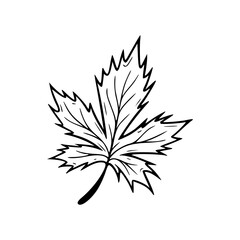 Minimalist Hand Drawn Floral Bouquet Illustration