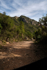 a path among mountains and forests