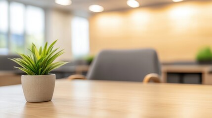 Green Plant in a Modern Office Environment for Relaxation and Inspiration