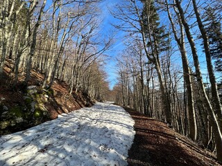 Early spring atmosphere and the last remnants of snow on the mountain road - Northern Velebit...