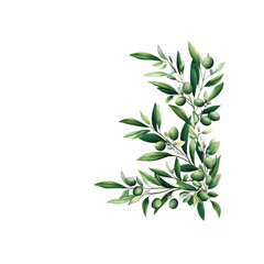 Fototapeta premium Lush Olive Branch with Green Olives and Leaves