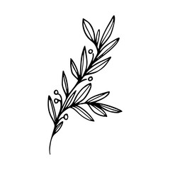 Minimalist Hand Drawn Floral Bouquet Illustration