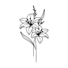 Minimalist Hand Drawn Floral Bouquet Illustration