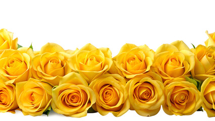 Naklejka premium bouquet of yellow roses border, isolated soft focus on the transparent background