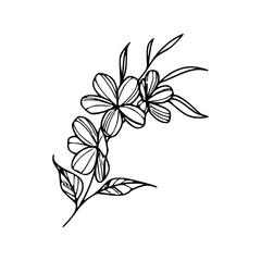 Minimalist Hand Drawn Floral Bouquet Illustration