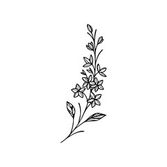 Minimalist Hand Drawn Floral Bouquet Illustration