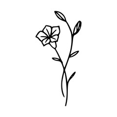 Minimalist Hand Drawn Floral Bouquet Illustration